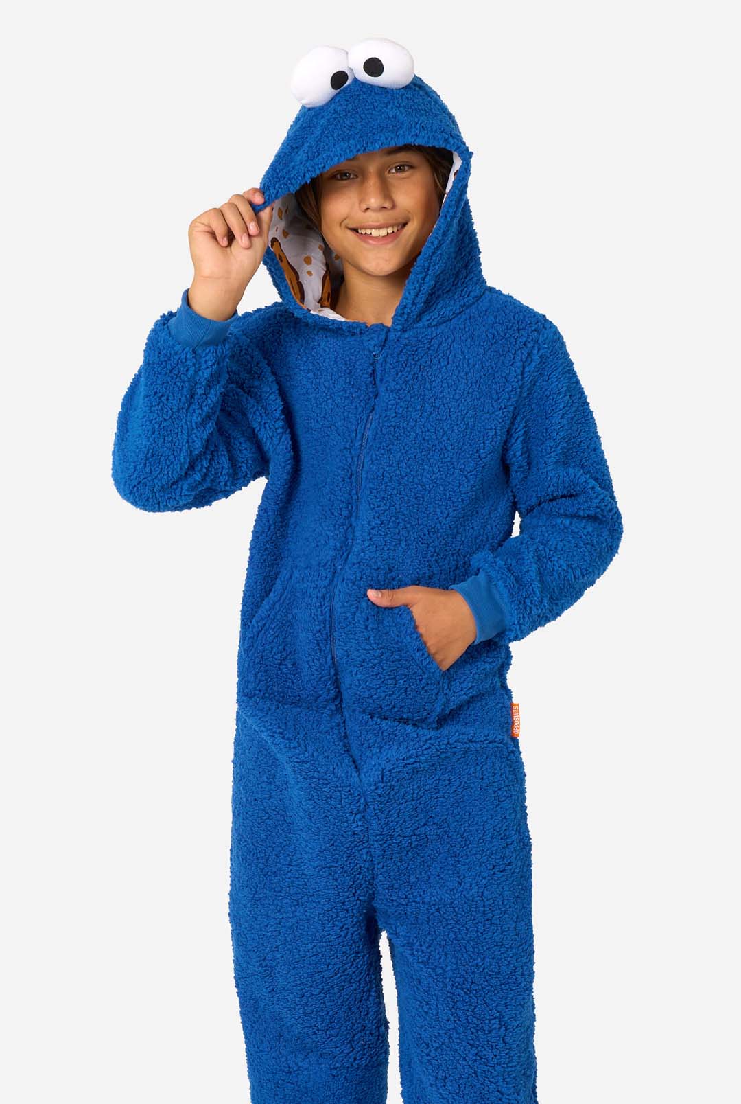 Miniatuur 1