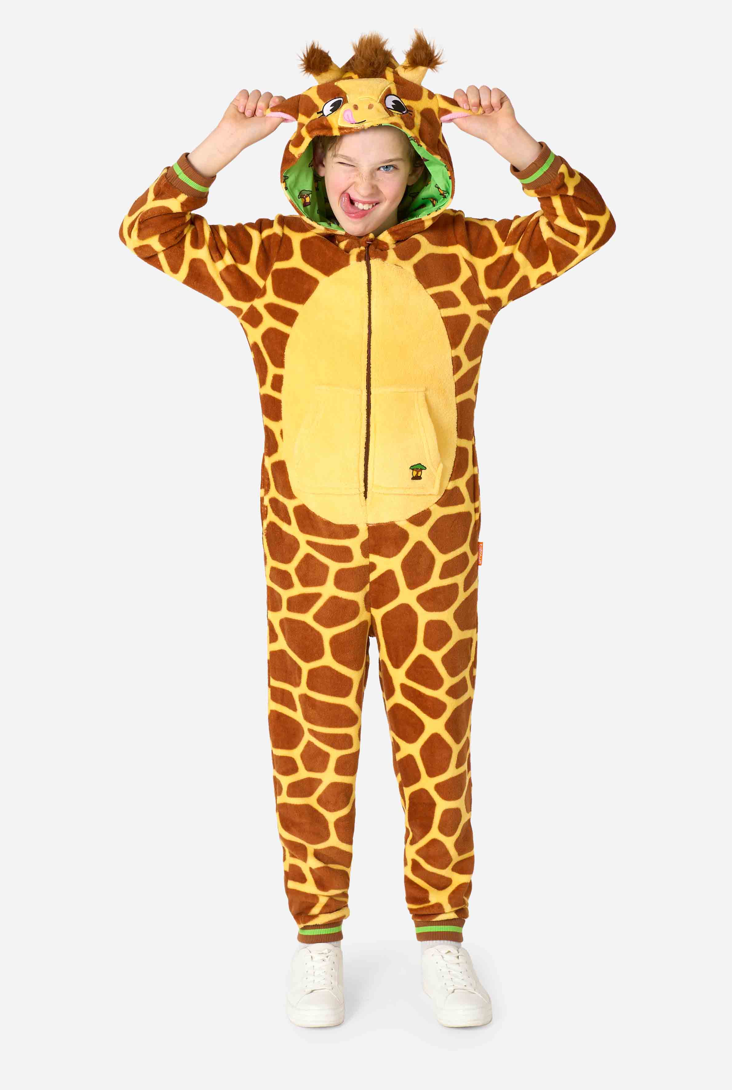 Giraffe - Image 2
