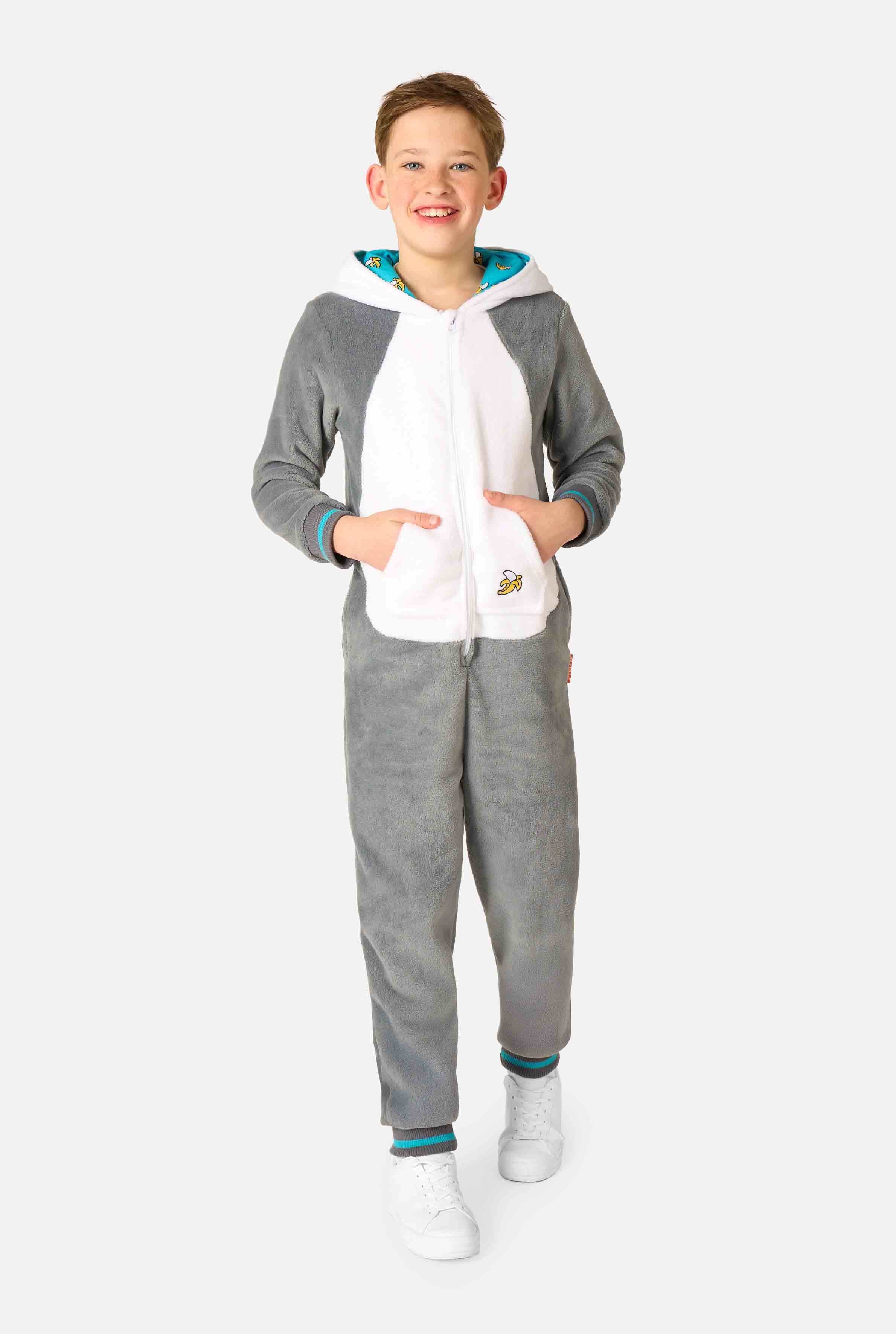 Lemur - Image 2