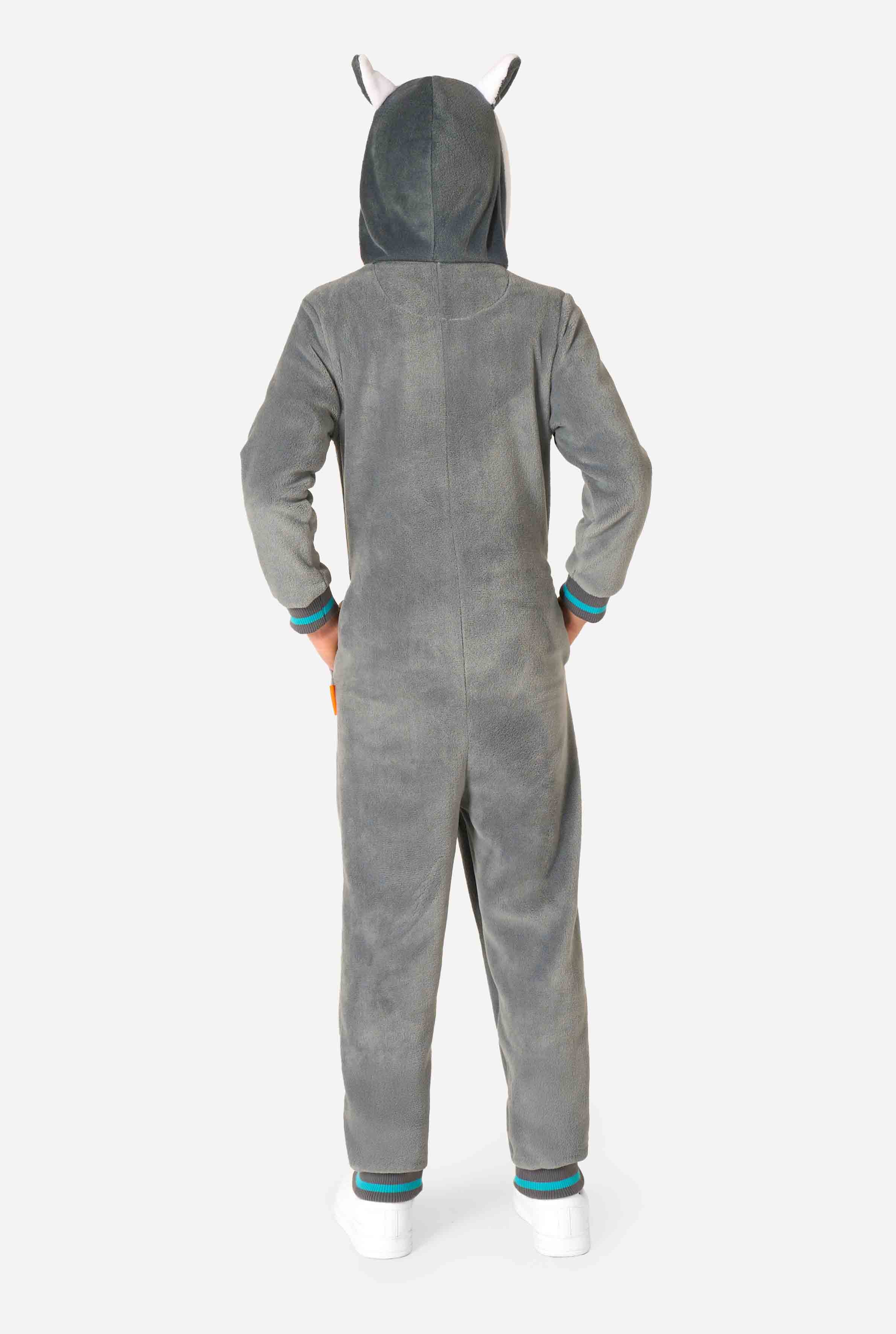 Lemur - Image 3