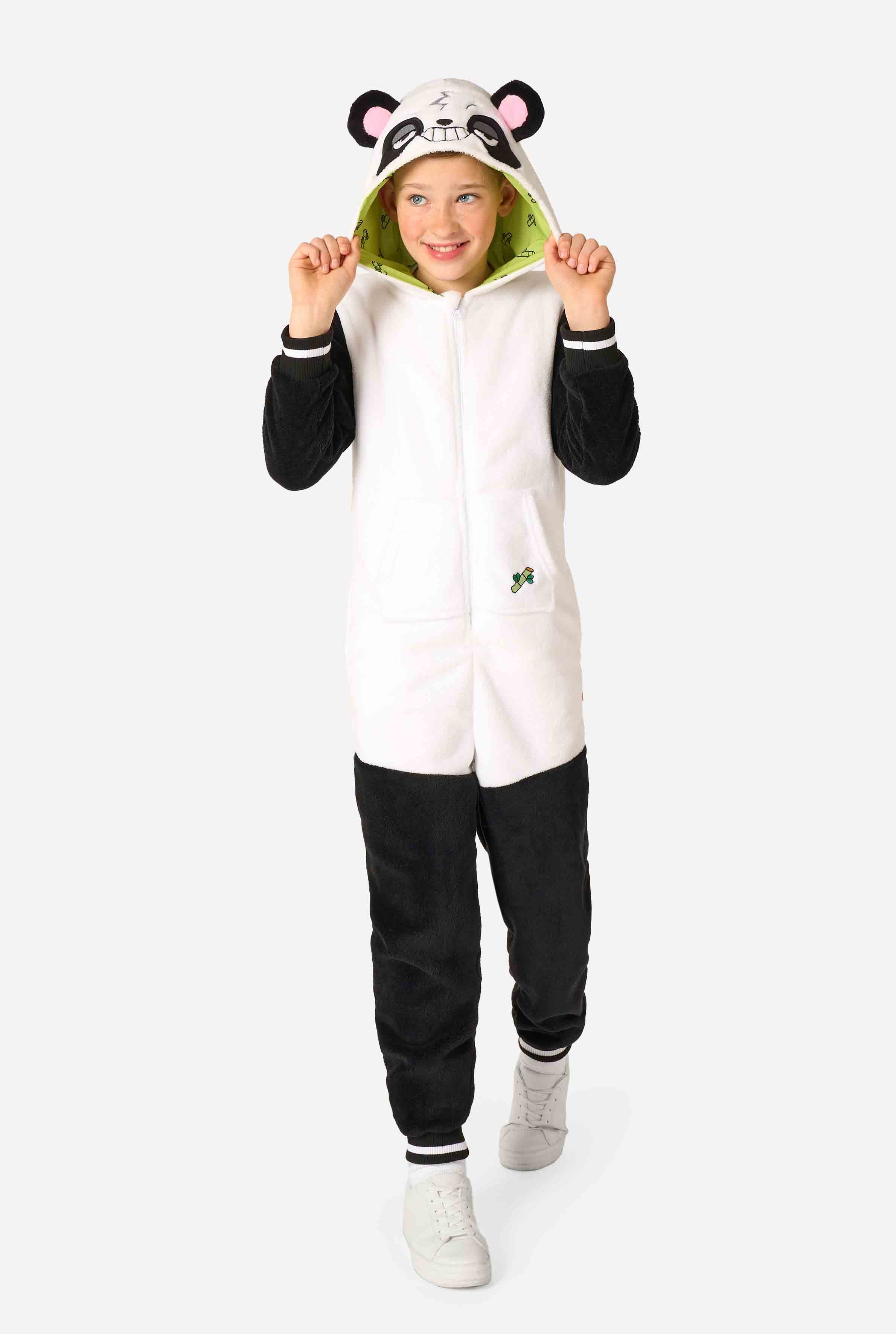 Panda - Image 2