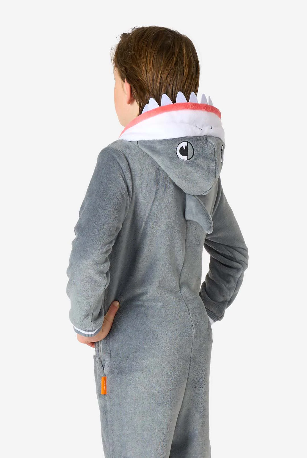 Shark - Image 6