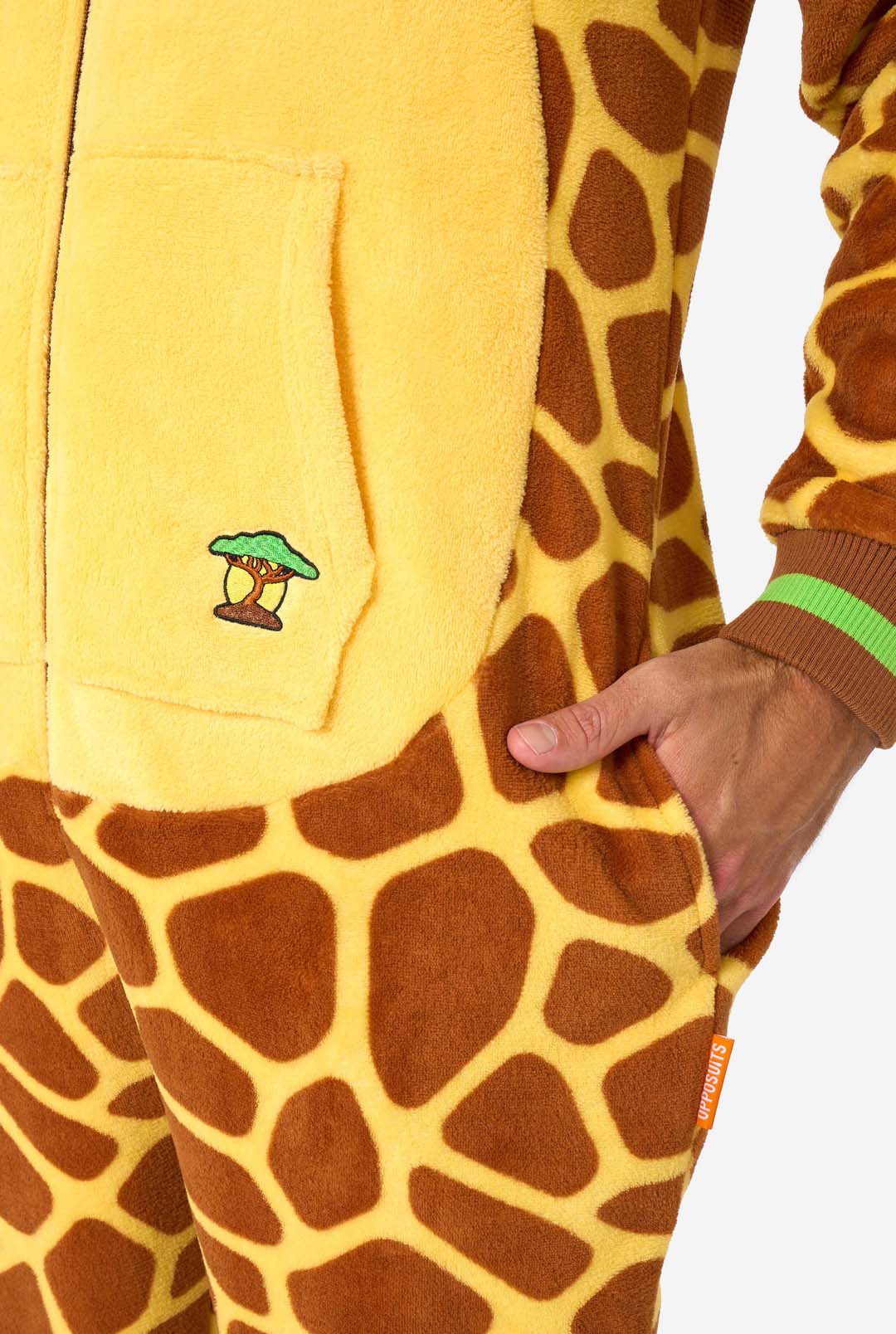 Giraffe - Image 7
