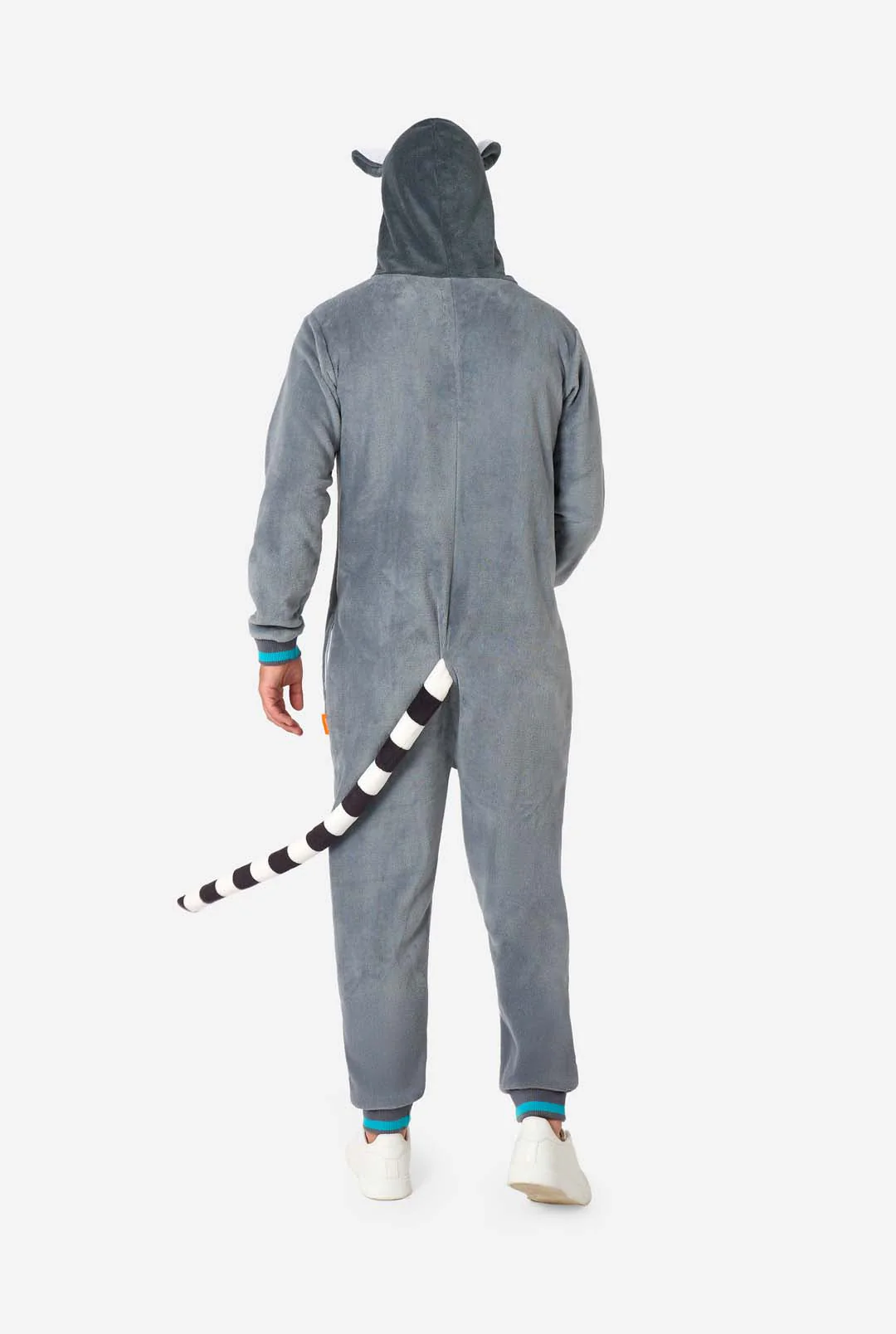 Lemur - Image 6