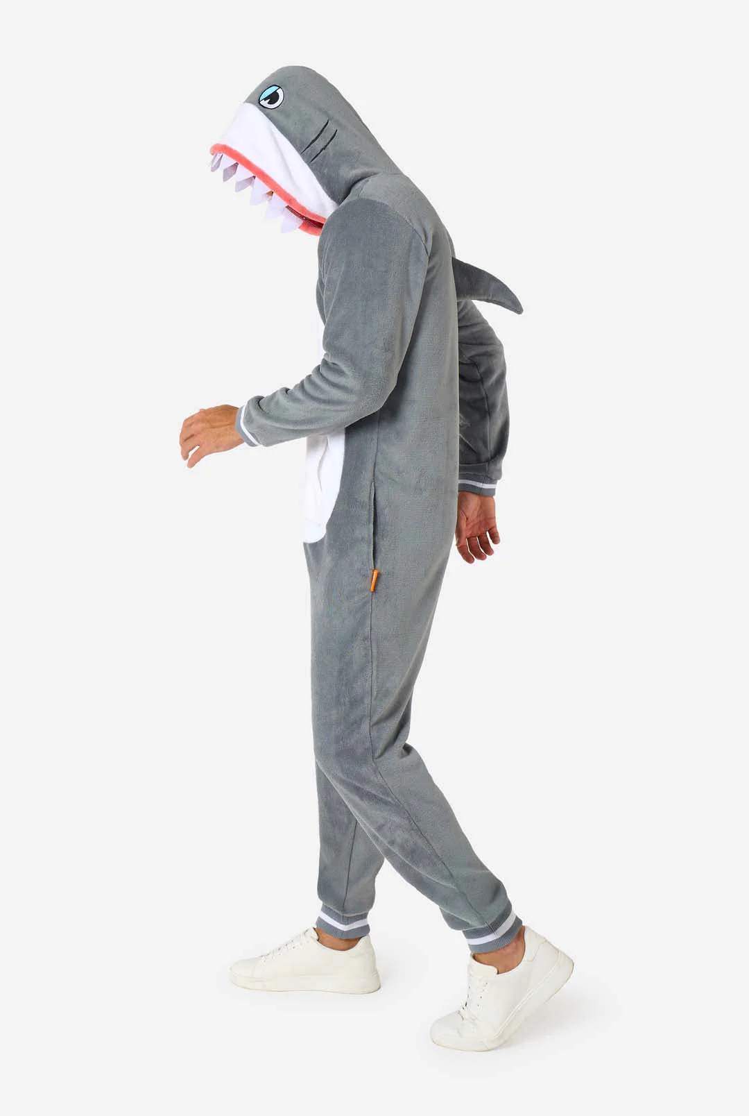 Shark - Image 3