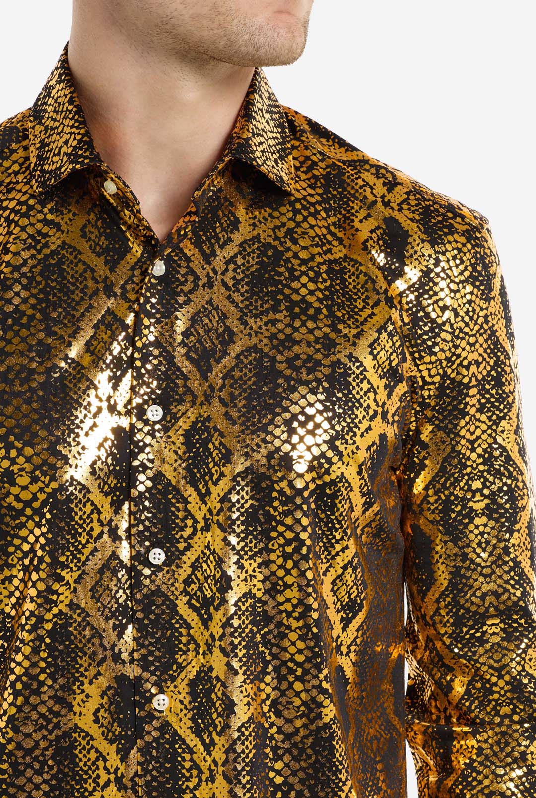 Shiny Snake - Image 4
