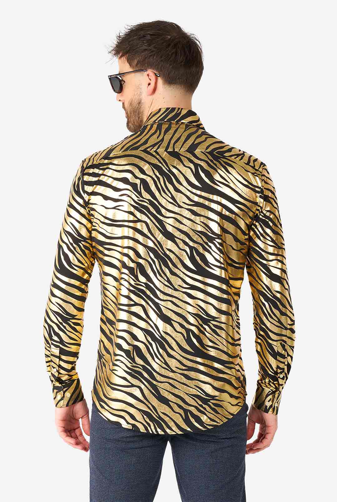 Tiger Shiner - Image 3