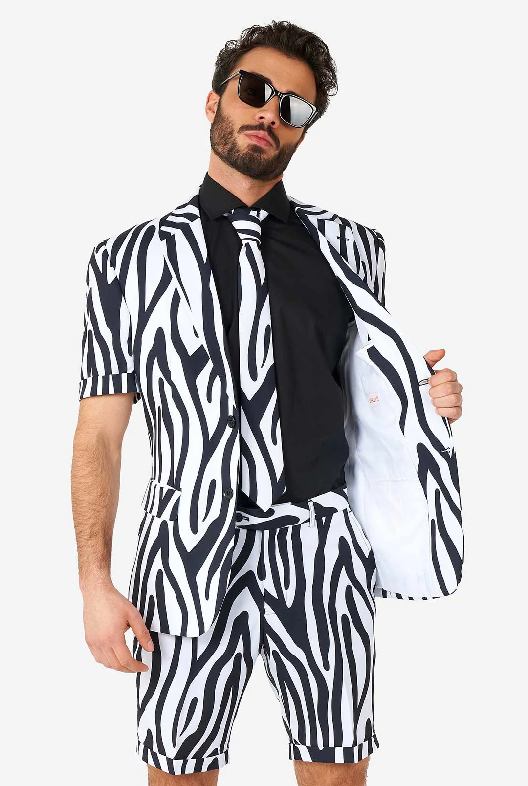 Zazzy Zebra - Image 3