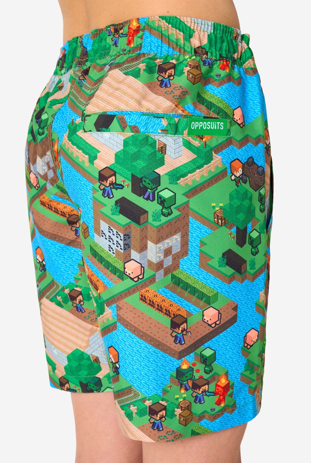Minecraft- Overworld - Image 6
